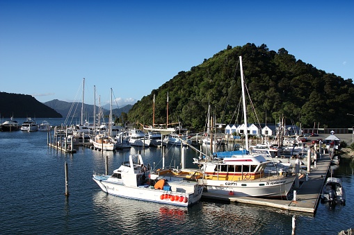 Boats in marina of Picton Harbor. Picton is an important harbor connecting South Island with North Island of New Zealand.