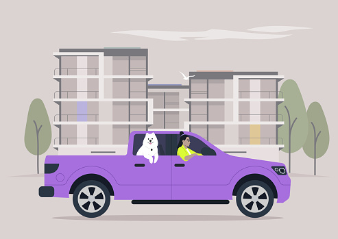 Urban Canine Companion, A Joyride by the Condos, A cheerful dog rides shotgun in a purple pickup truck beside an urban condo backdrop
