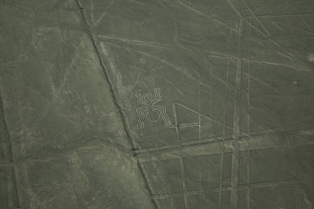 istock The spider. Nazca Lines. Peru. 2133083824