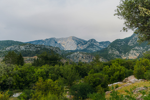 Scenic view overlooking the green summer hills and the islands in Mugla province, Turkey