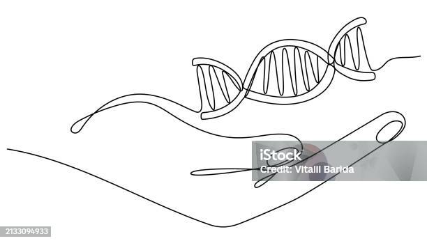 Isolated Dna Drawing Hand Holding Dna Continuous One Line Drawing Stock Illustration ...