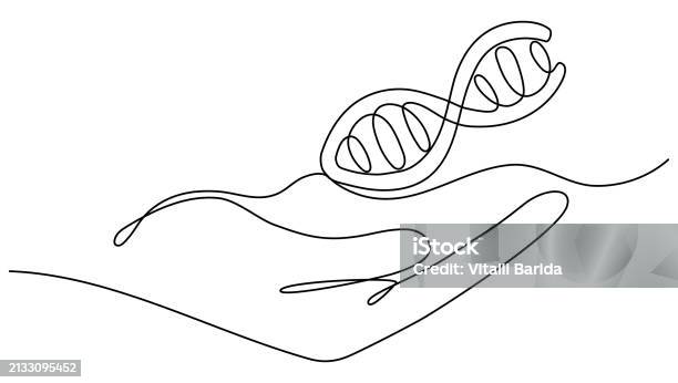 Isolated Dna Drawing Hand Holding Dna Continuous One Line Drawing Stock Illustration ...