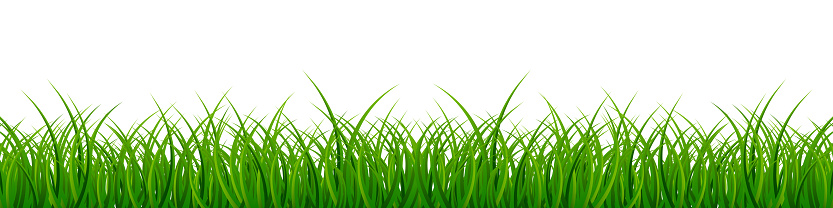 Green Grass. Vector Illustration.