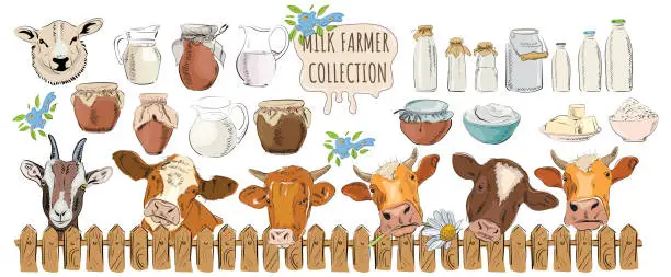Vector illustration of Set of dairy farm products and elements: bottle, jug, cottage cheese, milk, jug, fence, goat, can, butter