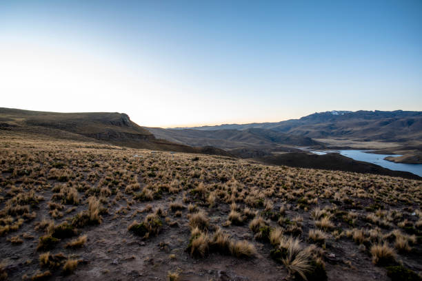 panorama of Lake Umayo and grasslands at the village of Puno on Lake Titicaca with views of the Andes and sun-baked bushes of the Andes in the Peruvian highlands