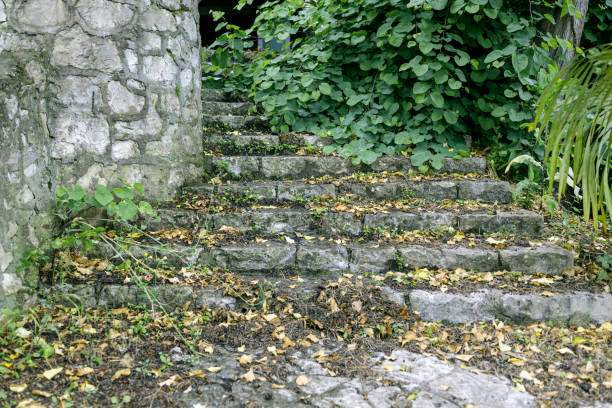 A stone staircase with leaves on it. The leaves are brown and scattered on the steps. The image has a peaceful and natural feel to it