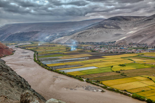 View from the Pan Americana South of the mouth of the Rio Ocona in the Pacific Ocean. Oasis with a fertile valley with many agricultural areas View from the Pan Americana South of the mouth of the Rio Ocona in the Pacific Ocean. Oasis with a fertile valley with many agricultural areas. Peru thames valley stock pictures, royalty-free photos & images