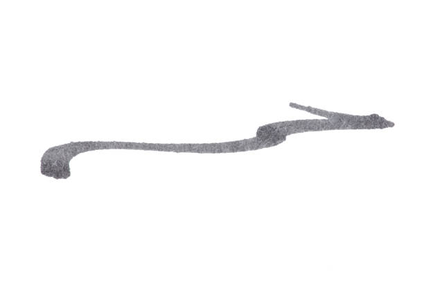 Gray pen line template on a white background.