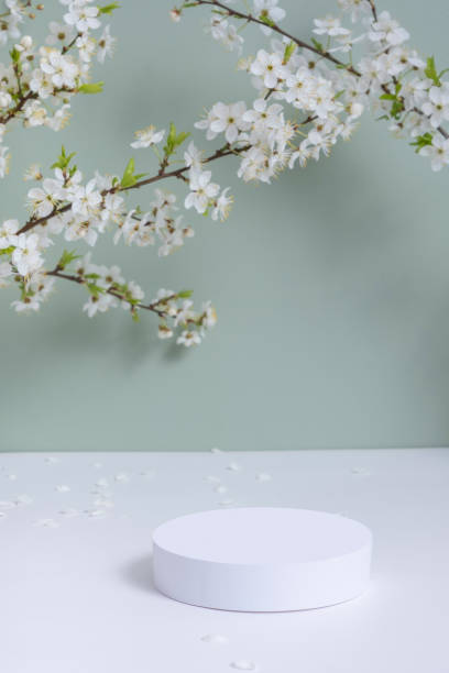 istock Empty podium or pedestal with spring bloom. Cosmetic products template mock up. 2133215474