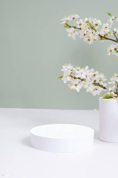 istock Empty podium or pedestal with spring bloom. Mock up for cosmetic products 2133215988