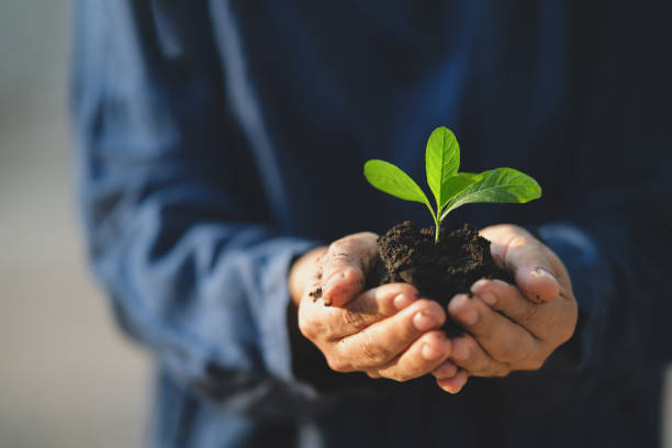 istock Sustainable nature and environment 2133271716