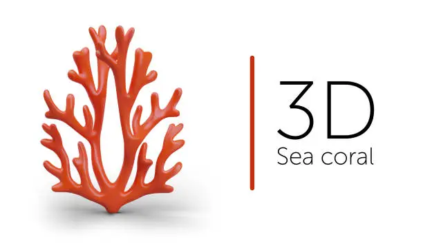 Vector illustration of Placard with realistic sea coral on white background. Underwater sea plant