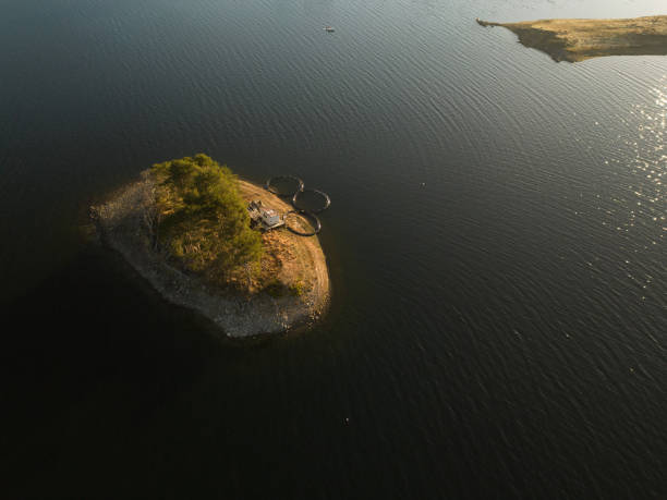istock High angle aerial view of a a fish farm 2133294299