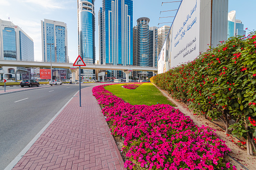 Dubai, United Arab Emirates - March 28, 2024: Flowers on the road in Dubai