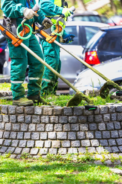 istock Gardeners trimming grass along brick wall 2133302158