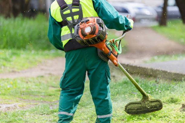 Groundskeeper 60+ Groundskeeper Stock Photos, Pictures & Royalty-Free Images - iStock