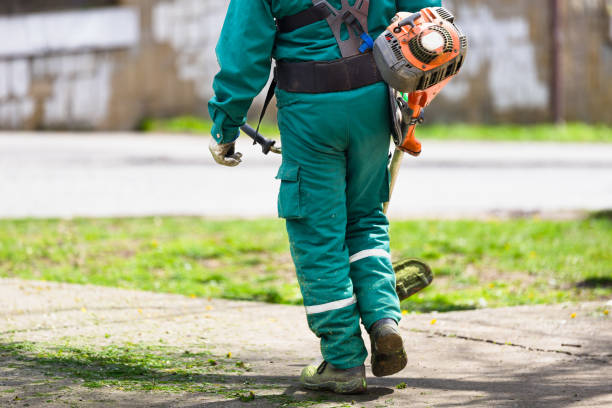 istock Worker holding a grass trimmer on sunny day 2133303199