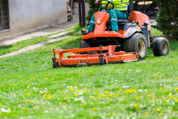 istock Man mowing grass with a riding lawn mower 2133303209