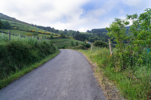 eine straße mit einem zaun an der seite und einem feld im hintergrund - sky blue grass green stock-fotos und bilder