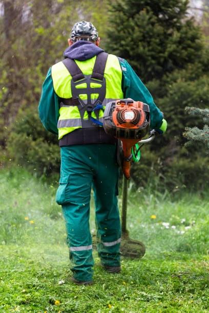 istock Worker mowing grass with a lawn trimmer 2133303725
