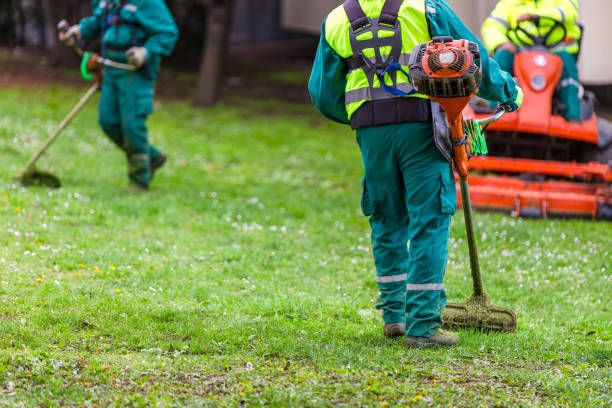 istock Landscapers working with lawn equipment 2133305270