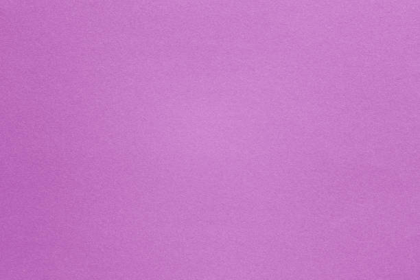 violet purple paper macro closeup texture