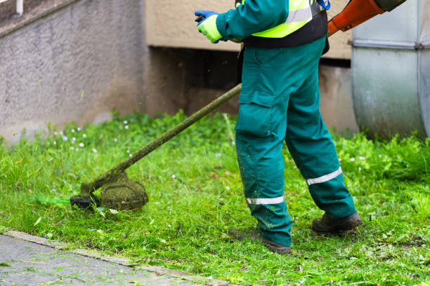 istock Worker trimming grass with lawn trimmer 2133312023