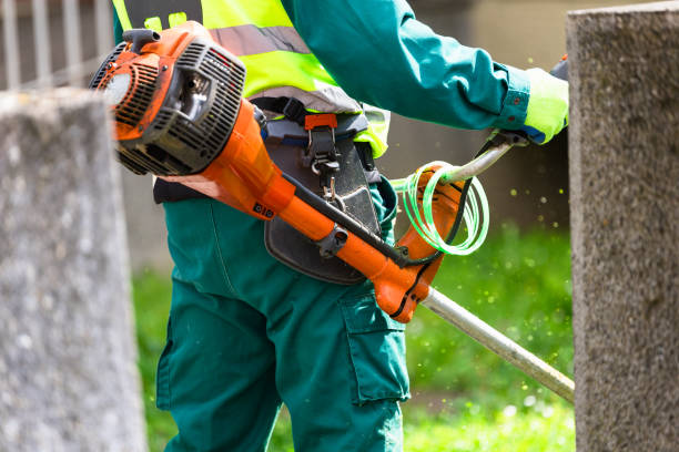 istock Worker trimming hedge with gas trimmer 2133317252