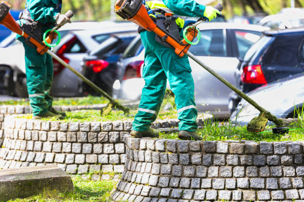 Landscapers with trimmers working by cars