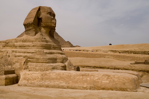 the sphinx on the giza plateau - Egypt