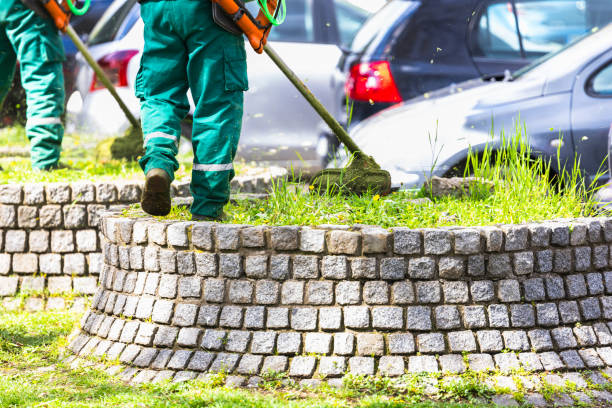 istock Landscapers trimming grass near stone wall 2133324032