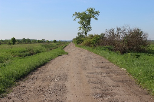 Unpaved country road with lush green fields.