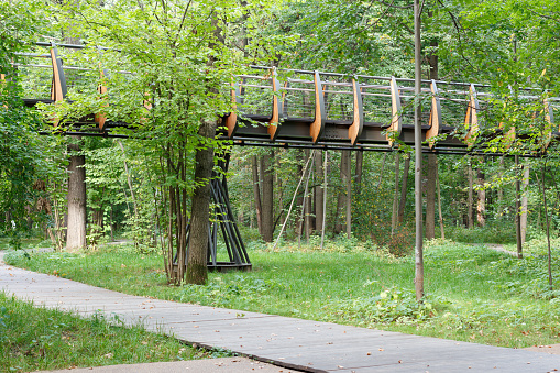 Hanging trail in the Sheremetyevskaya Oak Forest Park appears from behind dense foliage. Moscow, Russia, September 07, 2020.