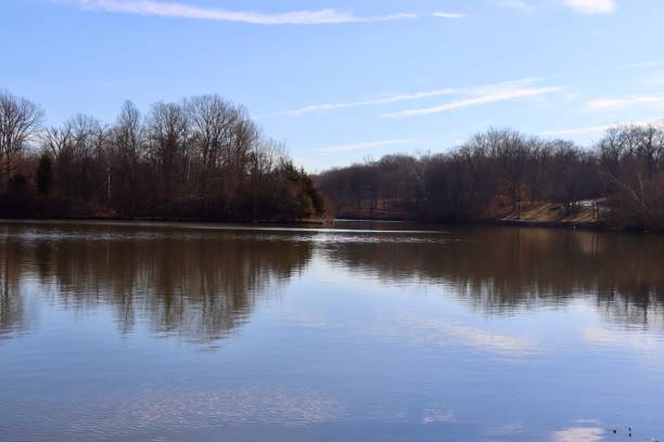 istock Lake in the Woods 2133398542