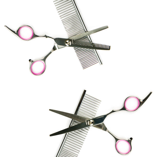 istock Scissors and comb for grooming pets isolated on a white. Collage. 2133410223