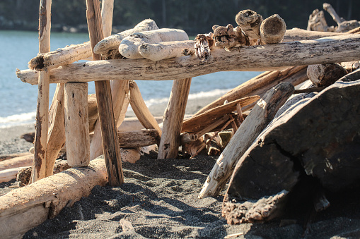 A driftwood structure at Albert Head Lagoon, near Colwood/Metchosin, Capital Regional District, on Vancouver Island.