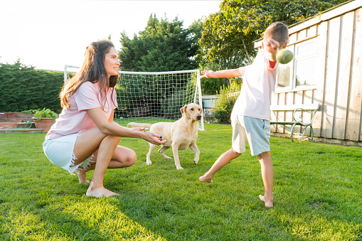 Cheerful mother and son playing with dog, throwing a ball and have fun together. Happy family playing with tennis ball with pet. Fun Games in Backyard Lawn on Sunny Summer Day. Active childhood.