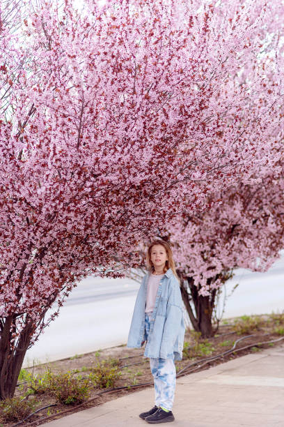 Charming girl in a blooming cherry orchard on a spring day