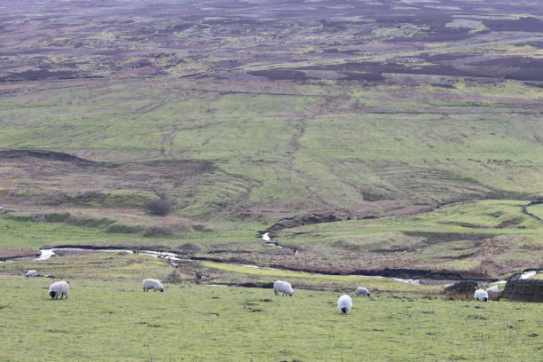 A remote location on a bleak day on Bodmin Moor, Cornwall.