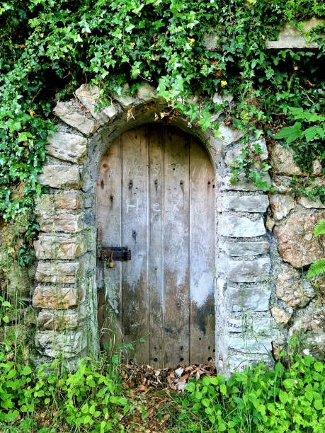 istock Obertrumer lake - lakeside old door 2133509968