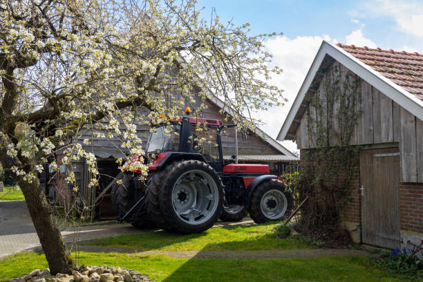 A tractor is parked in a farmyard behind a shed on a beautiful spring day with a blossoming tree in the foreground