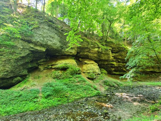 istock Tiefensteinklamm - near Schleedorf - rocks in forest 2133555449