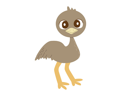 Ostrich Emu flat color vector isolated illustration on white background flat cartoon style for your design.