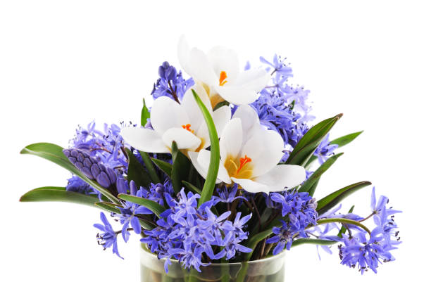 Beautiful spring flowers hyacinths and muscari on a light background, flyer.Abstract floral composition, still life with space for text, floral holiday card, summer greeting concept, selective focus