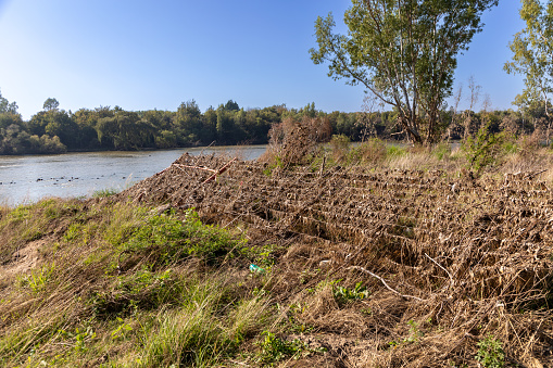 Grass debris stuck to a fence after the Vaal river in South Africa burst its banks and flooded the surrounding areas.