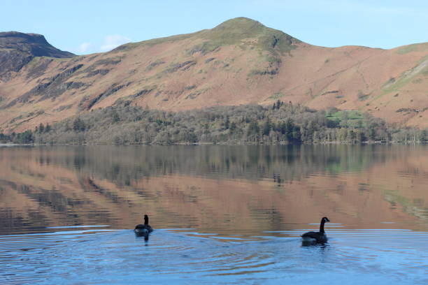 Hills surrounding Derwent Water reflected in still lake water