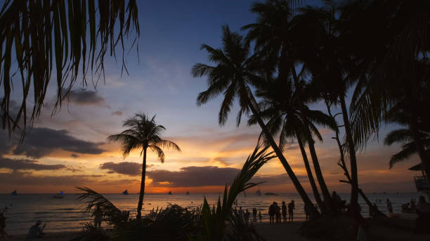 istock Sunset on beach with people and palms 2133672583