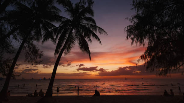 istock Sunset on beach with people and palms 2133680462