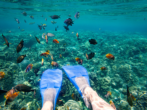 Personal perspective of a 60+ Asian woman viewing colorful, tropical fish while snorkeling at a coral reef in Amed, Bali, Indonesia.