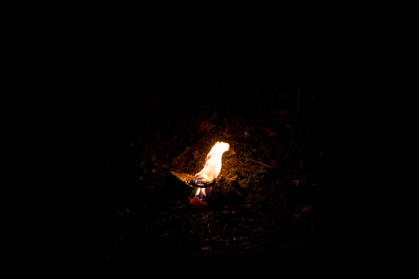 Burning Torch in the Night, Concept image